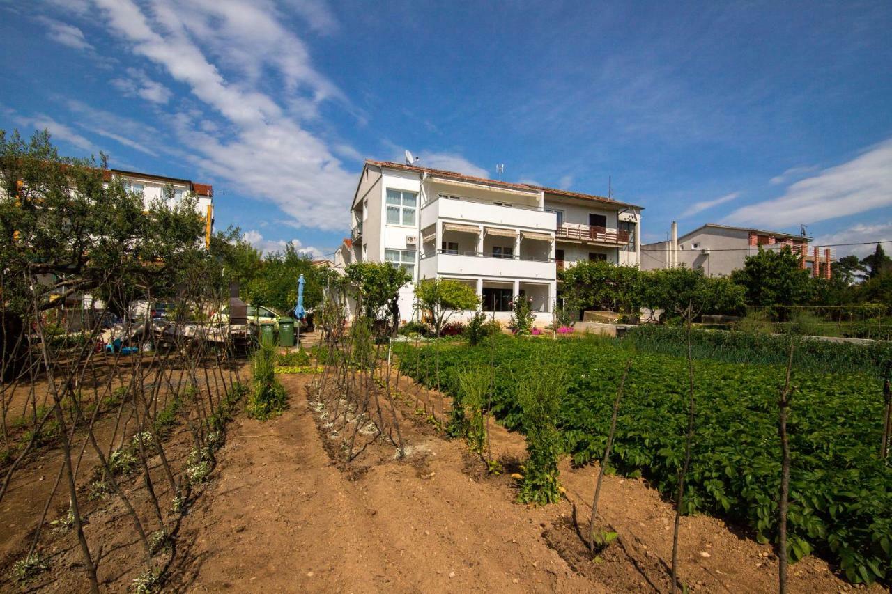 וודיצה Apartments Grgo מראה חיצוני תמונה